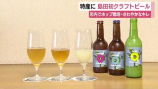 ホップから静岡・島田市で育てたクラフトビール　26日から販売開始