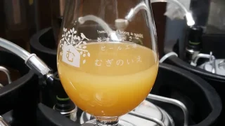仕込み段階での「Chiba Dorado 0」（8月6日撮影）
