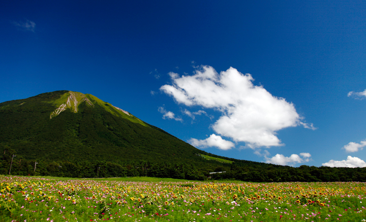 大山Gビール