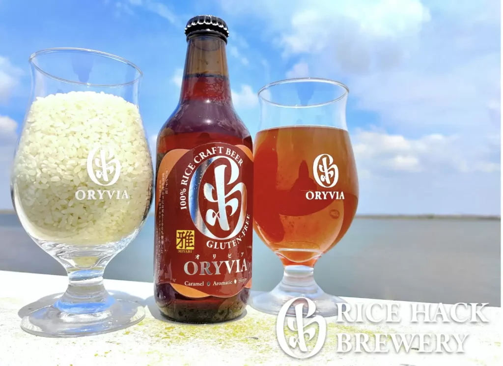 お米100%クラフトビールで、「お米の新たな美味しさ」を届けたい!
