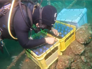 東駿河湾の豊かな自然で熟成されたクラフトビールを楽しもう！静岡のクラフトビールを様々なスタイルで楽しむビアイベントを開催します！