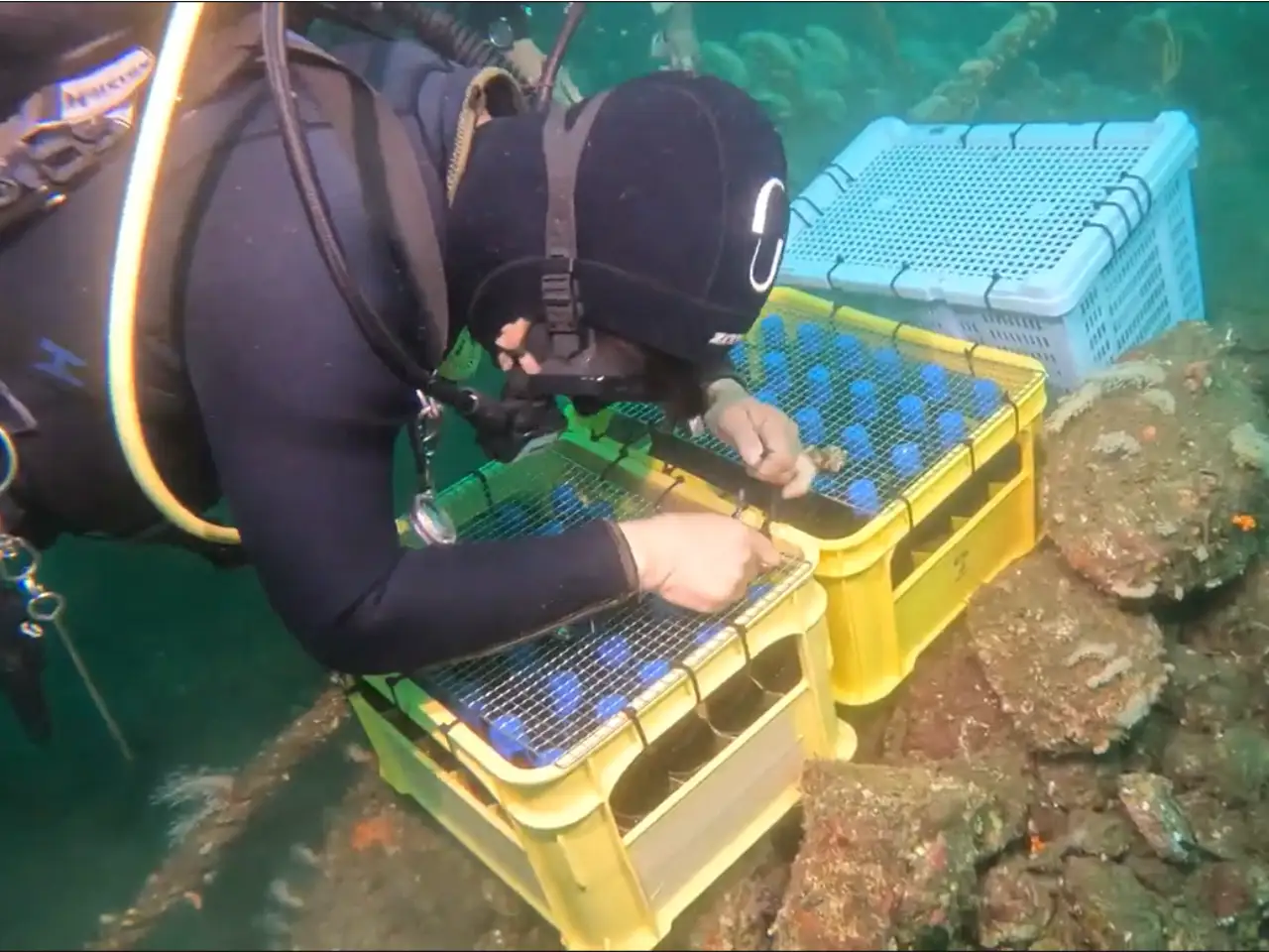東駿河湾の豊かな自然で熟成されたクラフトビールを楽しもう！静岡のクラフトビールを様々なスタイルで楽しむビアイベントを開催します！