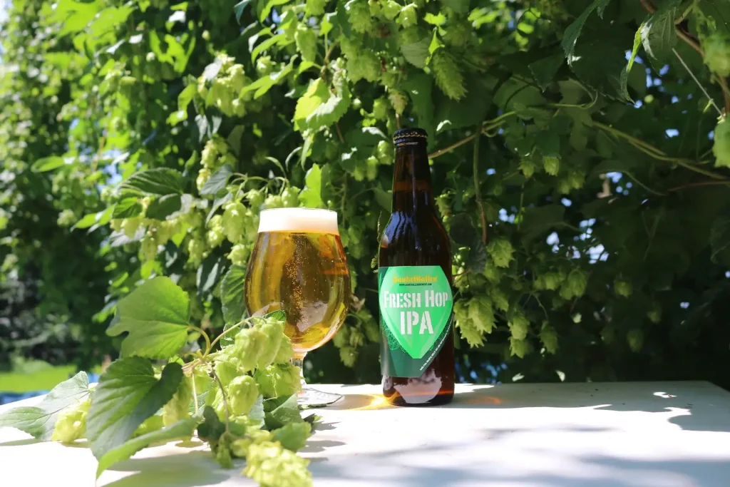 FRESH HOP IPA 2026