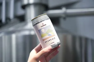温泉道場とコエドビールが、おふろ上がりに飲むビール「OFURO ALE（おふろエール）」を共同開発。2026年9月19日から販売開始します。